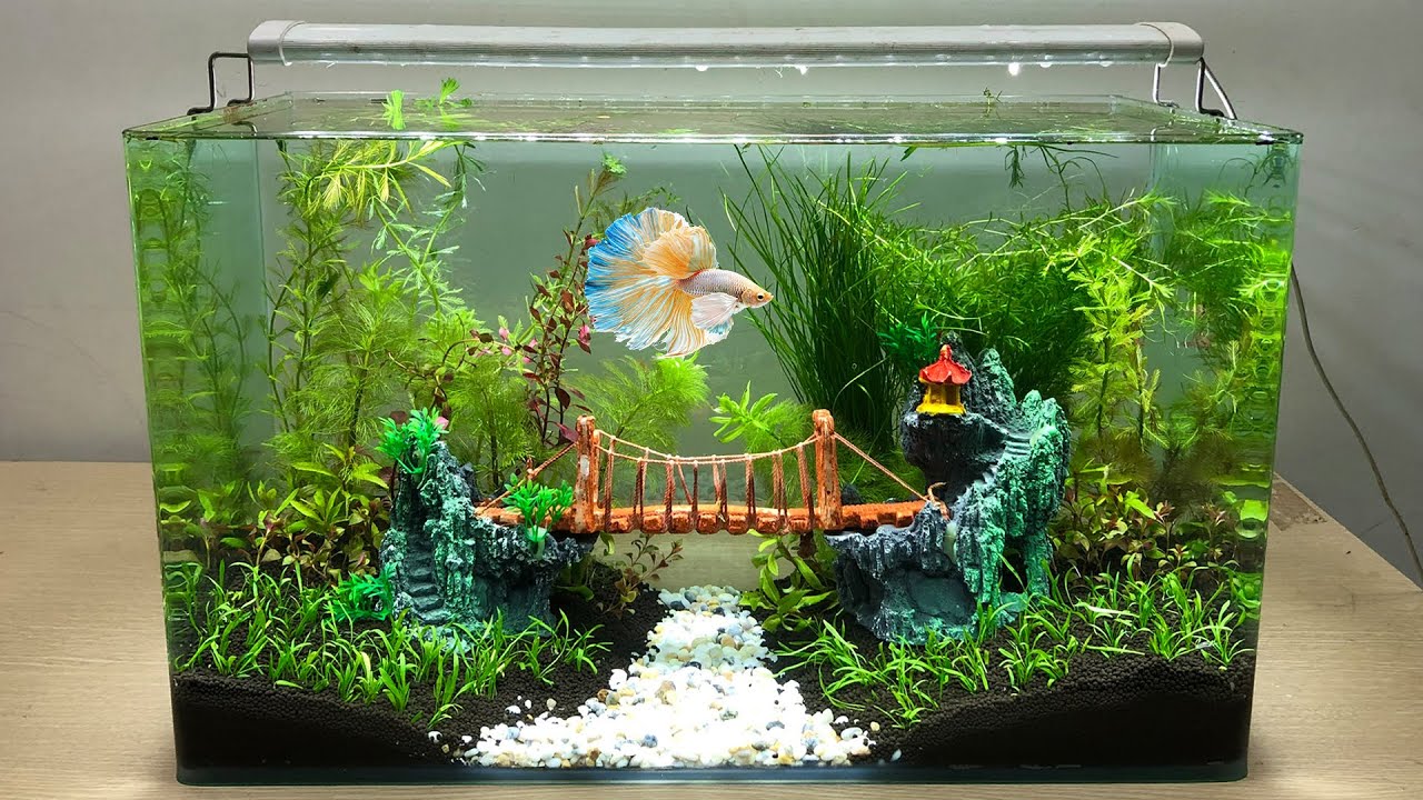 How to Make Aquarium Decorations at Home